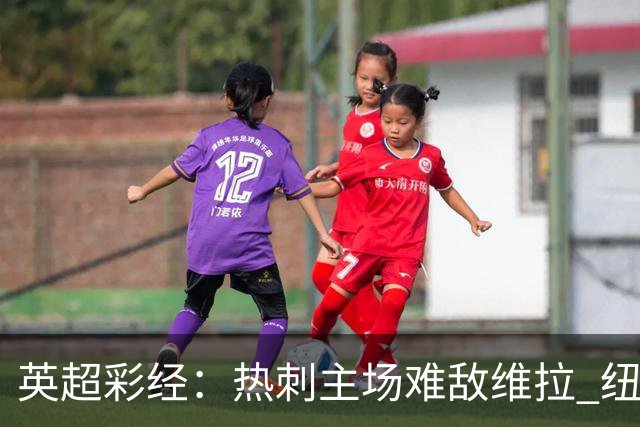 英超彩经：热刺主场难敌维拉 纽卡斯尔全取三分